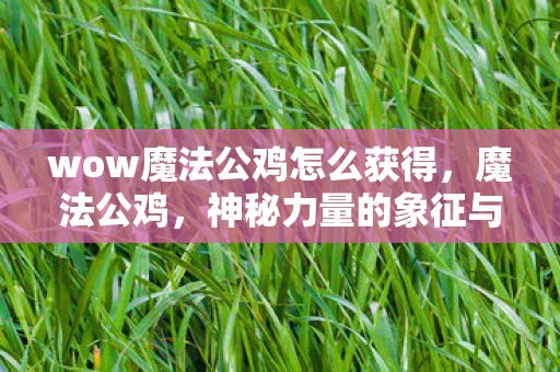 wow魔法公鸡怎么获得,魔法公鸡,神秘力量的象征与启示 wow魔法公鸡怎么获得,魔法公鸡,神秘力量的象征与启示