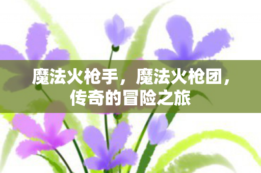 魔法火枪手,魔法火枪团,传奇的冒险之旅 魔法火枪手,魔法火枪团,传奇的冒险之旅