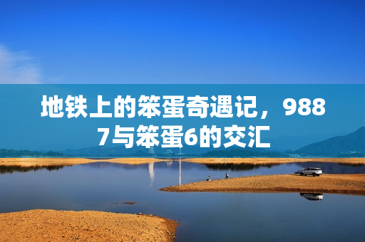 地铁上的笨蛋奇遇记，9887与笨蛋6的交汇
