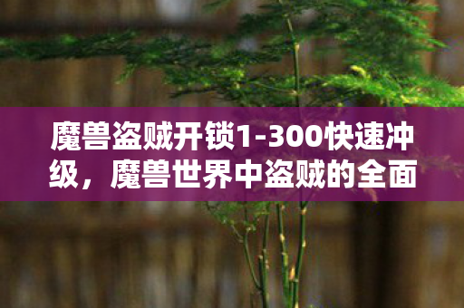 魔兽盗贼开锁1-300快速冲级,魔兽世界中盗贼的全面解析 魔兽盗贼开锁1-300快速冲级,魔兽世界中盗贼的全面解析