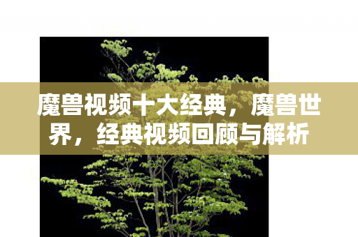 魔兽视频十大经典,魔兽世界,经典视频回顾与解析 魔兽视频十大经典,魔兽世界,经典视频回顾与解析