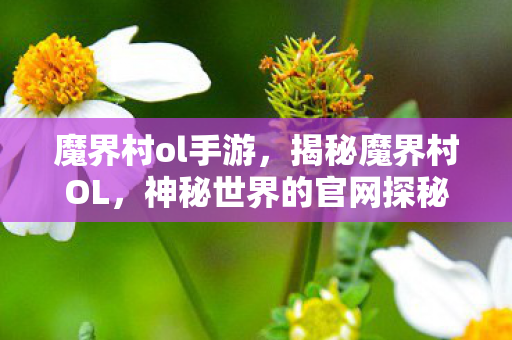 魔界村ol手游,揭秘魔界村OL,神秘世界的官网探秘与游戏深度解析 魔界村ol手游,揭秘魔界村OL,神秘世界的官网探秘与游戏深度解析