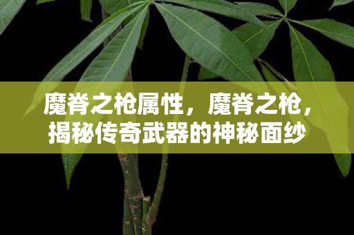 魔脊之枪属性,魔脊之枪,揭秘传奇武器的神秘面纱 魔脊之枪属性,魔脊之枪,揭秘传奇武器的神秘面纱