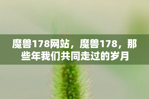 魔兽178网站,魔兽178,那些年我们共同走过的岁月 魔兽178网站,魔兽178,那些年我们共同走过的岁月