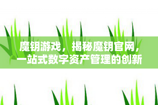魔钥游戏，揭秘魔钥官网，一站式数字资产管理的创新先锋