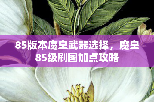 85版本魔皇武器选择,魔皇85级刷图加点攻略 85版本魔皇武器选择,魔皇85级刷图加点攻略