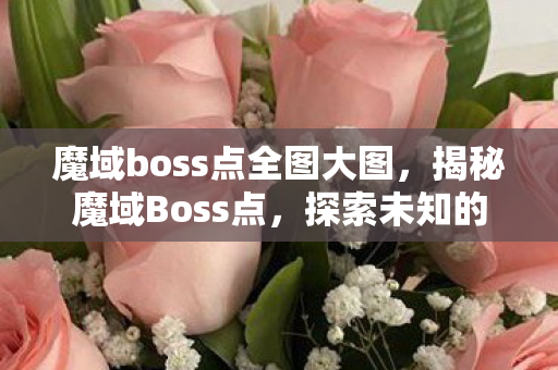魔域boss点全图大图，揭秘魔域Boss点，探索未知的秘境