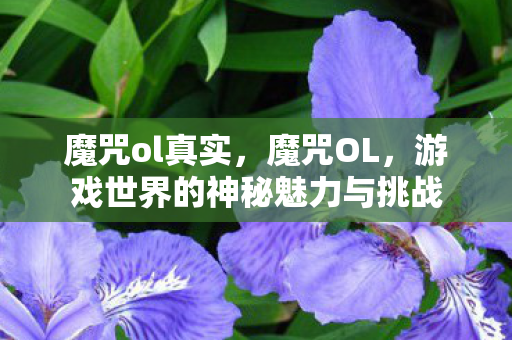 魔咒ol真实,魔咒OL,游戏世界的神秘魅力与挑战 魔咒ol真实,魔咒OL,游戏世界的神秘魅力与挑战