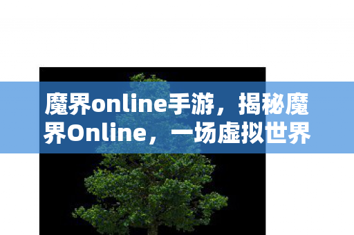 魔界online手游，揭秘魔界Online，一场虚拟世界的奇幻冒险之旅