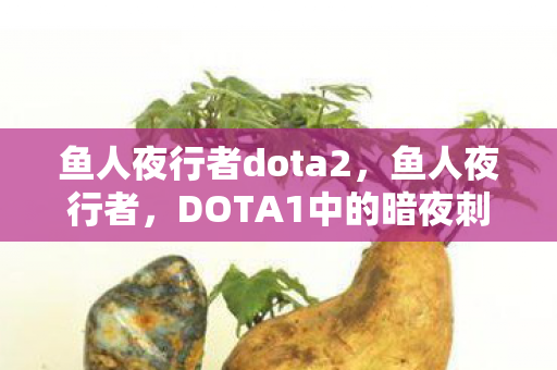 鱼人夜行者dota2，鱼人夜行者，DOTA1中的暗夜刺客传奇