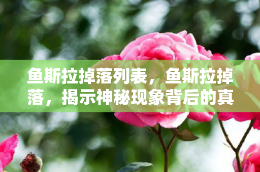 鱼斯拉掉落列表，鱼斯拉掉落，揭示神秘现象背后的真相