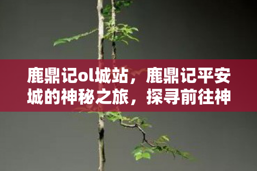 鹿鼎记ol城站，鹿鼎记平安城的神秘之旅，探寻前往神秘之地的详细指南