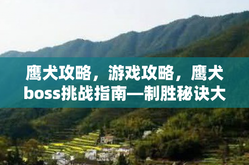 鹰犬攻略，游戏攻略，鹰犬boss挑战指南—制胜秘诀大揭秘