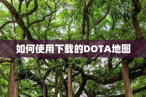 如何使用下载的DOTA地图