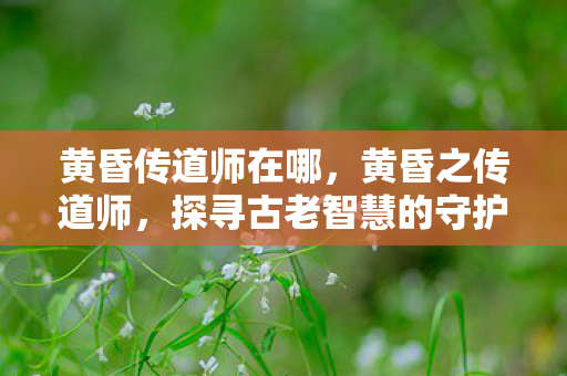 黄昏传道师在哪，黄昏之传道师，探寻古老智慧的守护者