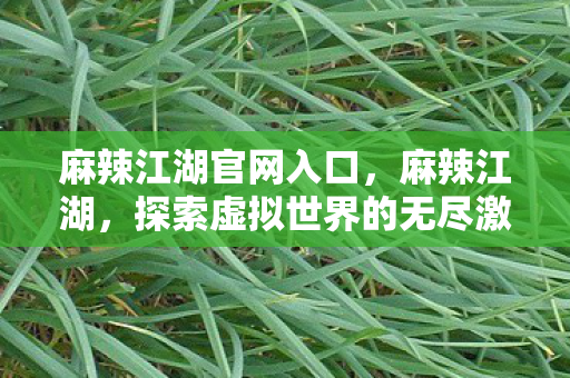 麻辣江湖官网入口，麻辣江湖，探索虚拟世界的无尽激情与冒险