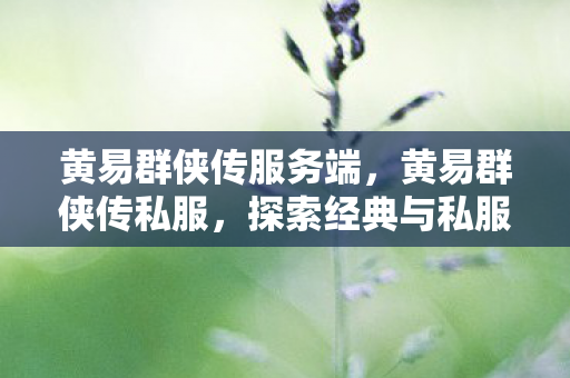 黄易群侠传服务端，黄易群侠传私服，探索经典与私服的交融之美