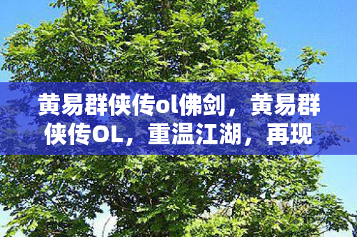 黄易群侠传ol佛剑,黄易群侠传OL,重温江湖,再现英雄传奇 黄易群侠传ol佛剑,黄易群侠传OL,重温江湖,再现英雄传奇