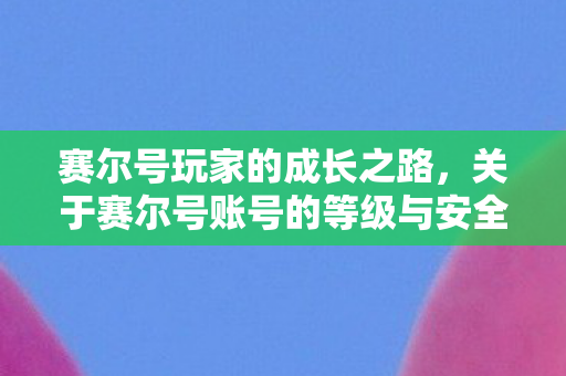 赛尔号玩家的成长之路，关于赛尔号账号的等级与安全性探讨