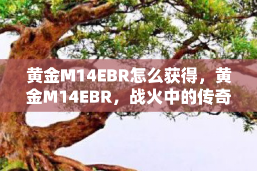 黄金M14EBR怎么获得，黄金M14EBR，战火中的传奇