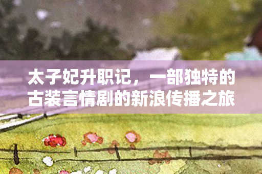 太子妃升职记，一部独特的古装言情剧的新浪传播之旅