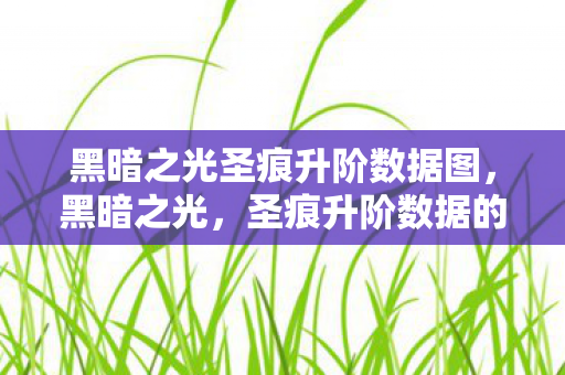 黑暗之光圣痕升阶数据图,黑暗之光,圣痕升阶数据的深度解析 黑暗之光圣痕升阶数据图,黑暗之光,圣痕升阶数据的深度解析