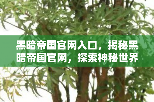 黑暗帝国官网入口，揭秘黑暗帝国官网，探索神秘世界的门户