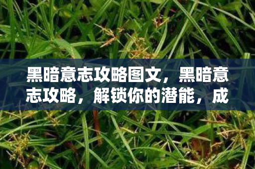 黑暗意志攻略图文，黑暗意志攻略，解锁你的潜能，成为真正的强者