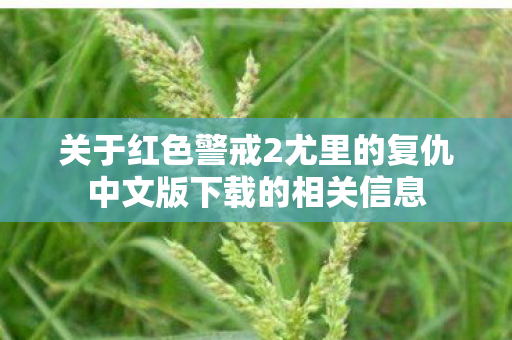 关于红色警戒2尤里的复仇中文版下载的相关信息