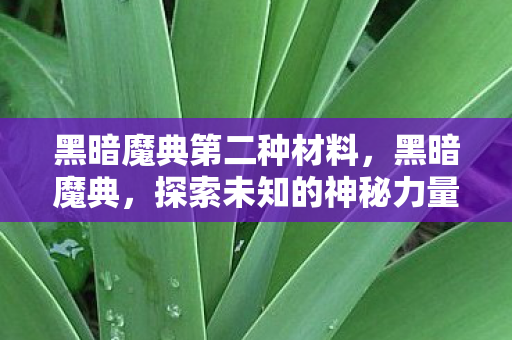 黑暗魔典第二种材料,黑暗魔典,探索未知的神秘力量 黑暗魔典第二种材料,黑暗魔典,探索未知的神秘力量