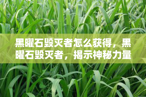 黑曜石毁灭者怎么获得,黑曜石毁灭者,揭示神秘力量的背后真相 黑曜石毁灭者怎么获得,黑曜石毁灭者,揭示神秘力量的背后真相