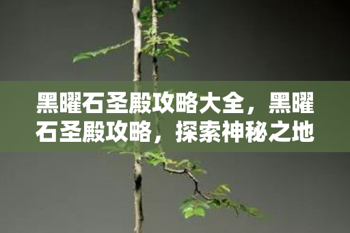 黑曜石圣殿攻略大全,黑曜石圣殿攻略,探索神秘之地,解锁无尽宝藏 黑曜石圣殿攻略大全,黑曜石圣殿攻略,探索神秘之地,解锁无尽宝藏