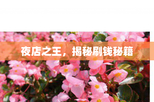 夜店之王,揭秘刷钱秘籍 夜店之王,揭秘刷钱秘籍