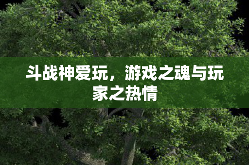 斗战神爱玩，游戏之魂与玩家之热情