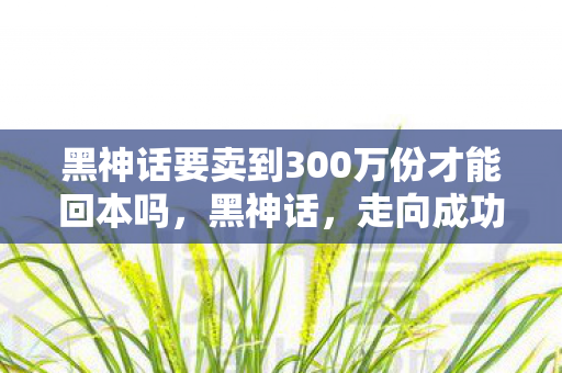 黑神话要卖到300万份才能回本吗，黑神话，走向成功的挑战与机遇，能否突破300万份销量大关？