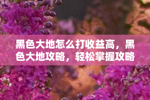黑色大地怎么打收益高,黑色大地攻略,轻松掌握攻略技巧,轻松通关! 黑色大地怎么打收益高,黑色大地攻略,轻松掌握攻略技巧,轻松通关!
