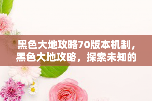 黑色大地攻略70版本机制，黑色大地攻略，探索未知的冒险之旅