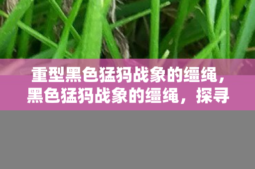 重型黑色猛犸战象的缰绳，黑色猛犸战象的缰绳，探寻古老文明的神秘力量与传奇故事