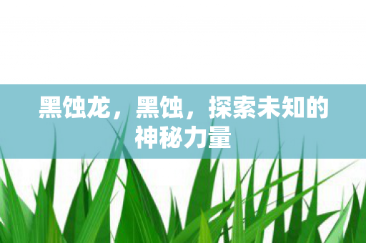 黑蚀龙，黑蚀，探索未知的神秘力量