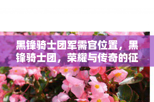 黑锋骑士团军需官位置，黑锋骑士团，荣耀与传奇的征途