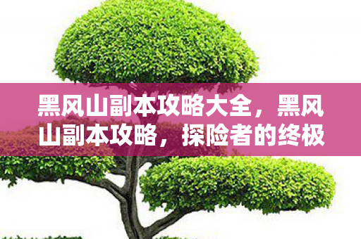 黑风山副本攻略大全,黑风山副本攻略,探险者的终极指南 黑风山副本攻略大全,黑风山副本攻略,探险者的终极指南