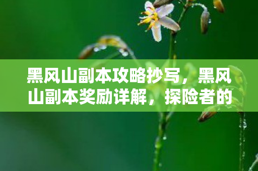 黑风山副本攻略抄写,黑风山副本奖励详解,探险者的宝藏所在 黑风山副本攻略抄写,黑风山副本奖励详解,探险者的宝藏所在