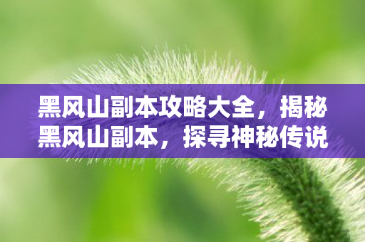 黑风山副本攻略大全,揭秘黑风山副本,探寻神秘传说与独特魅力的旅程 黑风山副本攻略大全,揭秘黑风山副本,探寻神秘传说与独特魅力的旅程