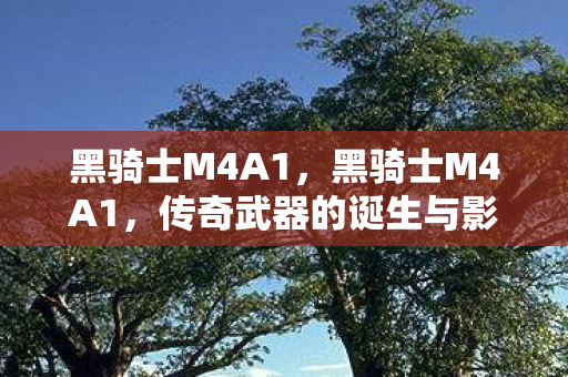 黑骑士M4A1,黑骑士M4A1,传奇武器的诞生与影响 黑骑士M4A1,黑骑士M4A1,传奇武器的诞生与影响