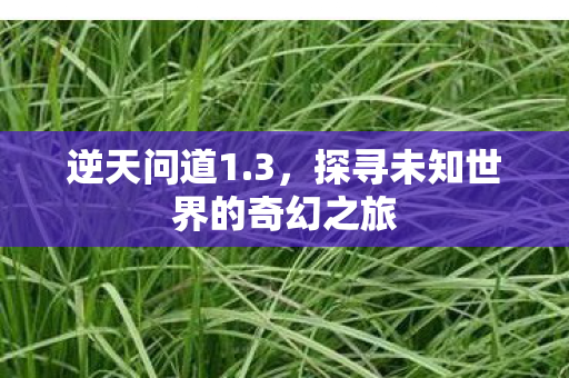 逆天问道1.3,探寻未知世界的奇幻之旅 逆天问道1.3,探寻未知世界的奇幻之旅