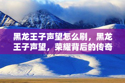 黑龙王子声望怎么刷,黑龙王子声望,荣耀背后的传奇故事 黑龙王子声望怎么刷,黑龙王子声望,荣耀背后的传奇故事