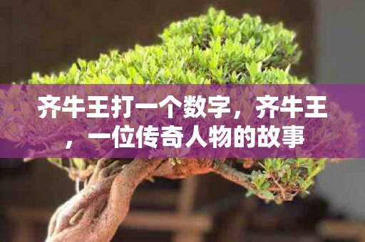 齐牛王打一个数字，齐牛王，一位传奇人物的故事