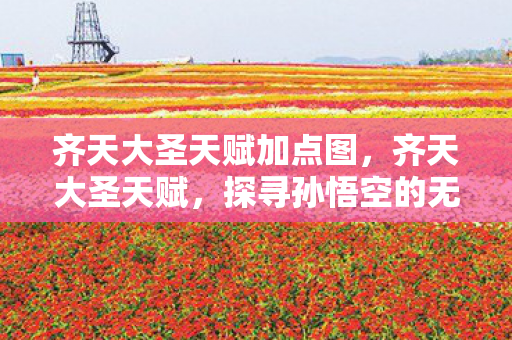 齐天大圣天赋加点图，齐天大圣天赋，探寻孙悟空的无限潜能与神秘力量