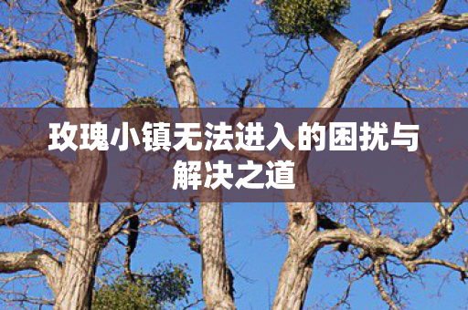 玫瑰小镇无法进入的困扰与解决之道 玫瑰小镇无法进入的困扰与解决之道