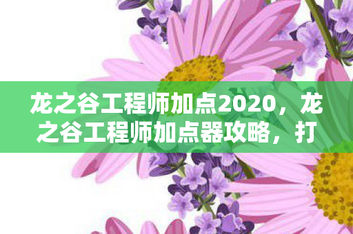 龙之谷工程师加点2020，龙之谷工程师加点器攻略，打造最强工程师